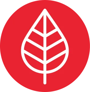Eco-friendly icon